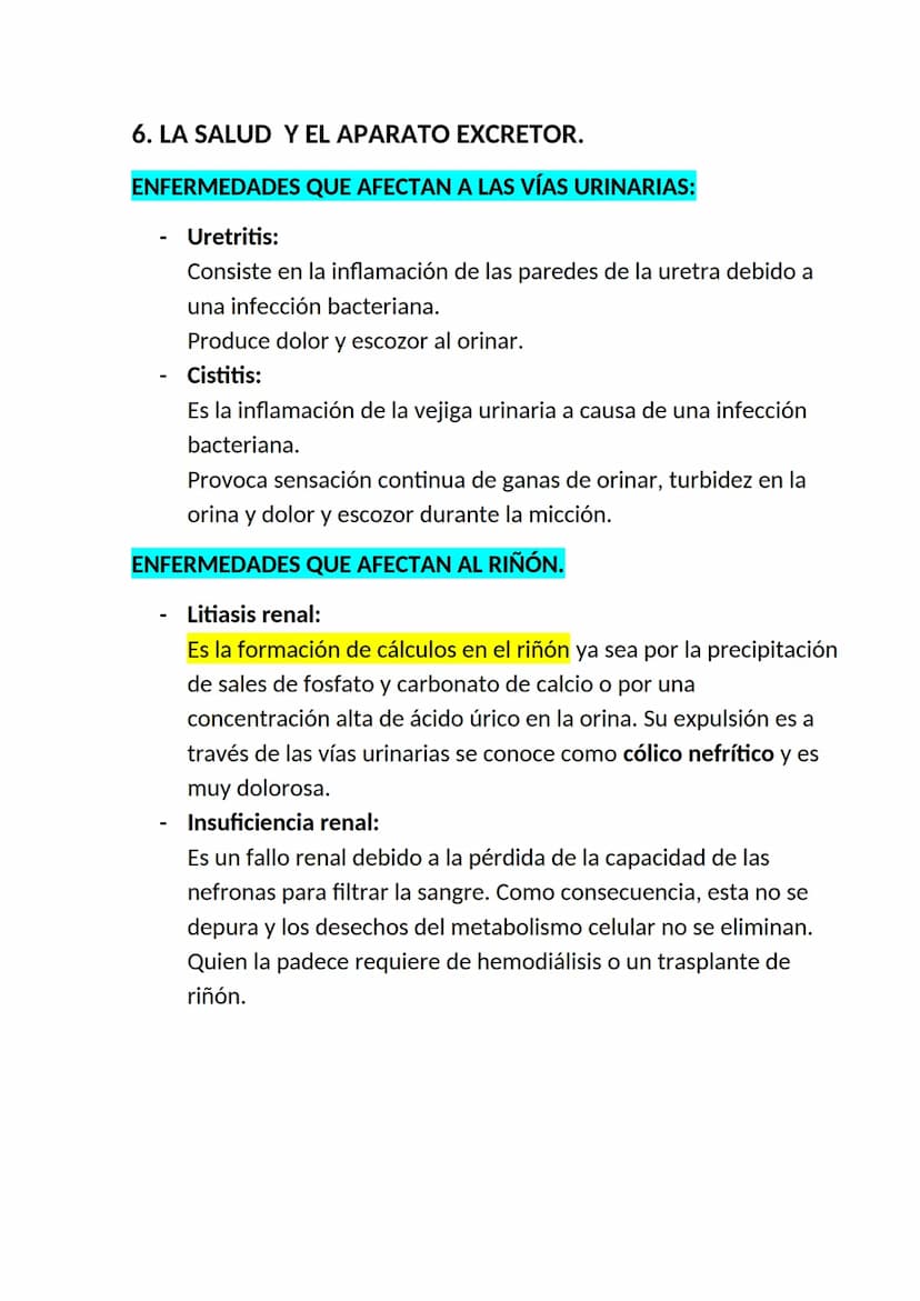 <h2 id="elaparatorespiratorioysuspartes">El aparato respiratorio y sus partes</h2>
<p>El aparato respiratorio es un conjunto de órganos que 