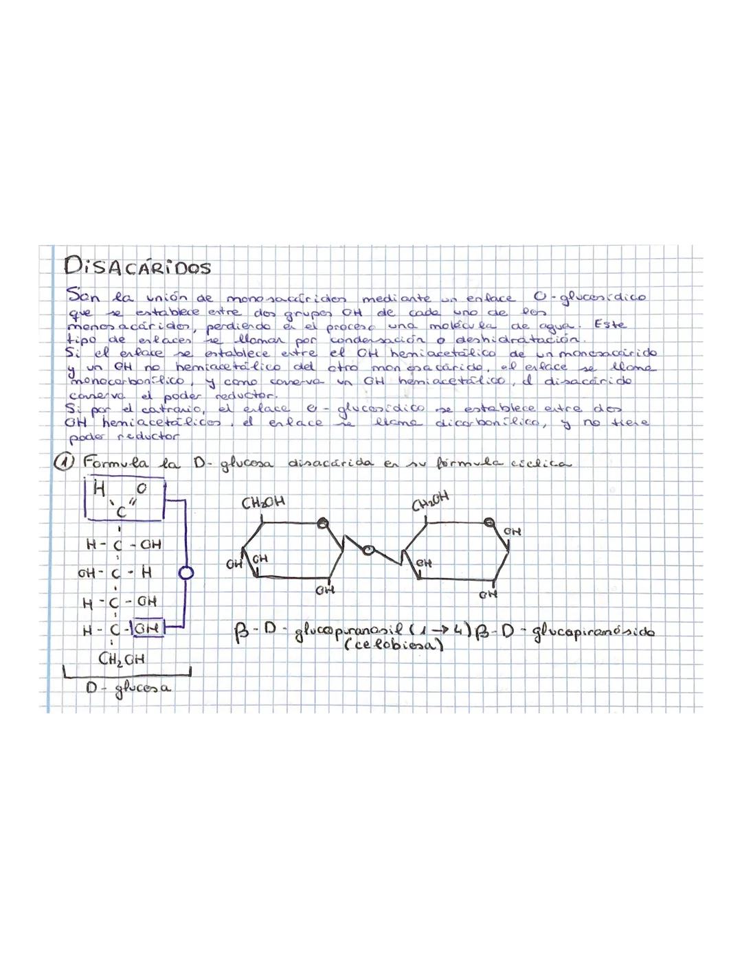 # DISA CÁRIDos

Son la unión de monosaccfricies mediante un enface O-glucenídico
que se establece entre dos grupos OH de cada uno de los
men