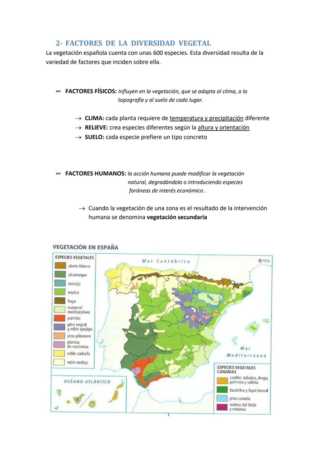 LA DIVERSIDAD VEGETAL
1- LA VEGETACIÓN Y LAS REGIONES FLORALES
La vegetación o flora es el conjunto de especies vegetales de un territorio. 