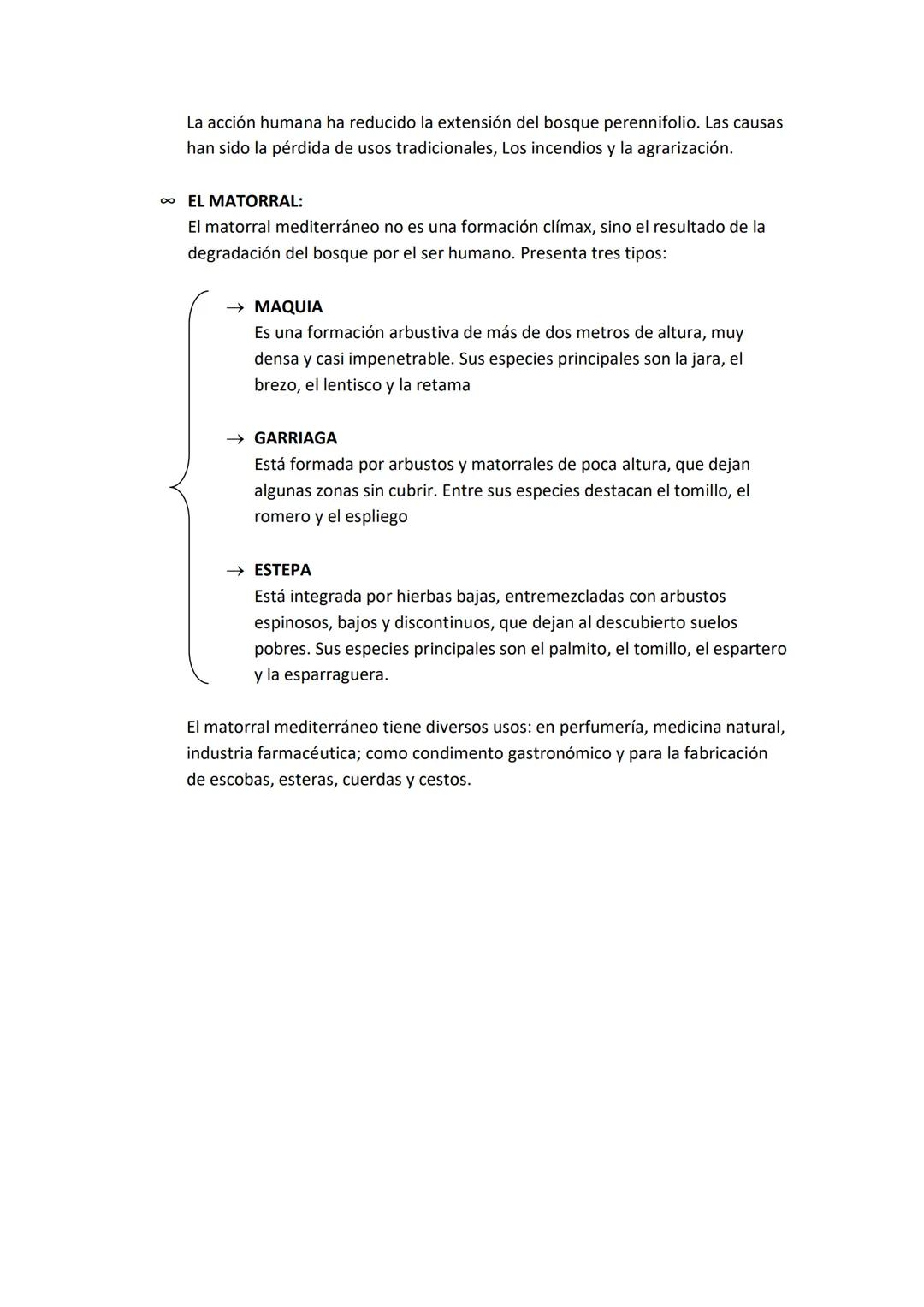 LA DIVERSIDAD VEGETAL
1- LA VEGETACIÓN Y LAS REGIONES FLORALES
La vegetación o flora es el conjunto de especies vegetales de un territorio. 
