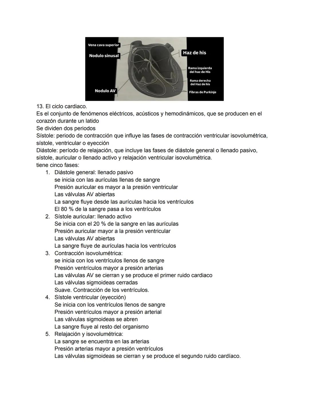 # 1. TEMA 3: EL SISTEMA CARDIOVASCULAR
1. Anatomía del sistema cardiovascular:
Función: Hace llegar día y noche los nutrientes y el oxígeno 