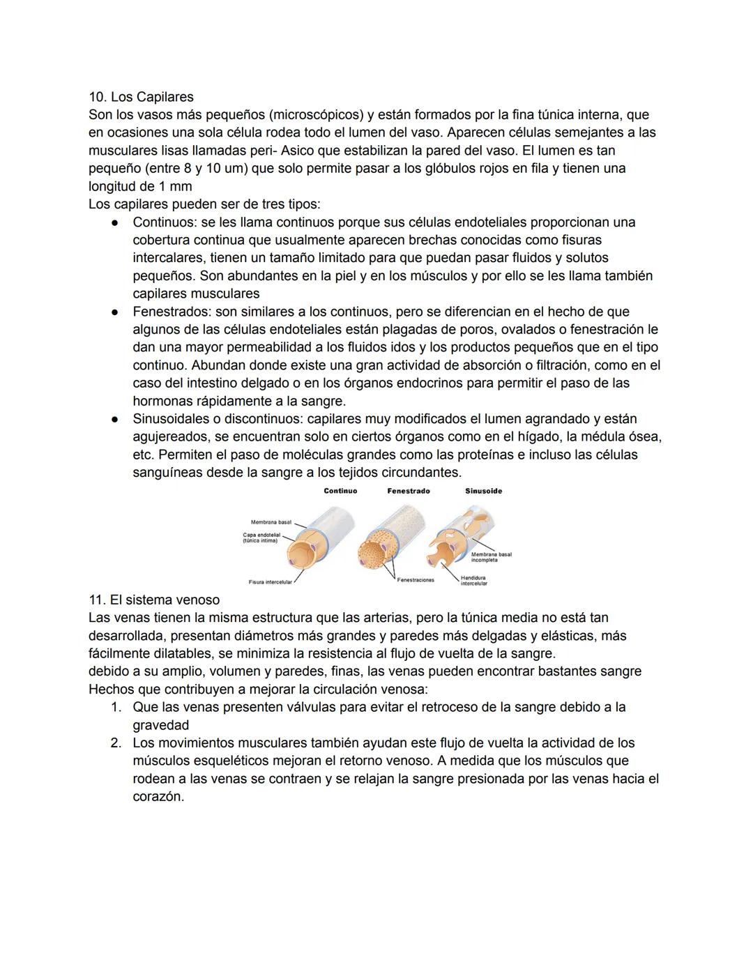# 1. TEMA 3: EL SISTEMA CARDIOVASCULAR
1. Anatomía del sistema cardiovascular:
Función: Hace llegar día y noche los nutrientes y el oxígeno 