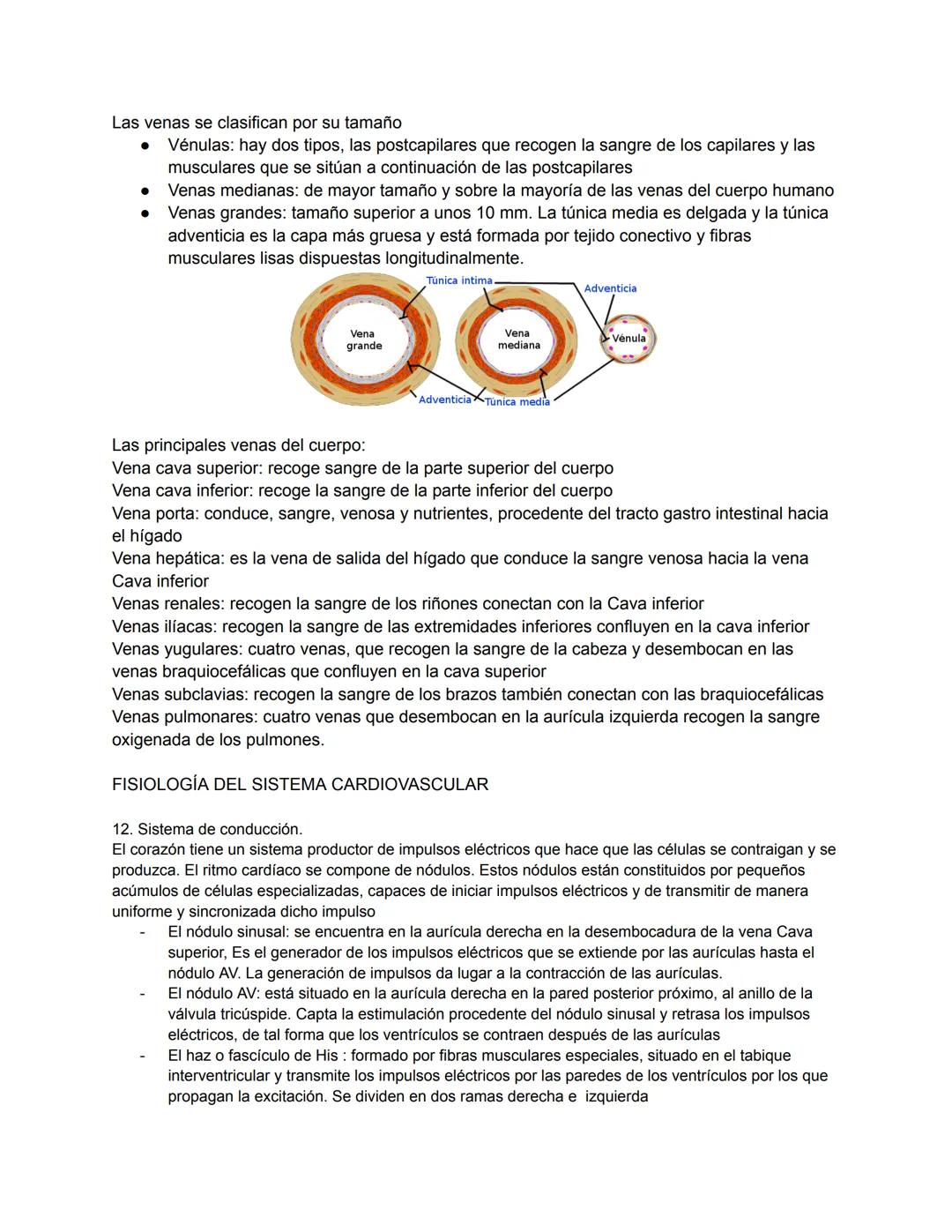 # 1. TEMA 3: EL SISTEMA CARDIOVASCULAR
1. Anatomía del sistema cardiovascular:
Función: Hace llegar día y noche los nutrientes y el oxígeno 