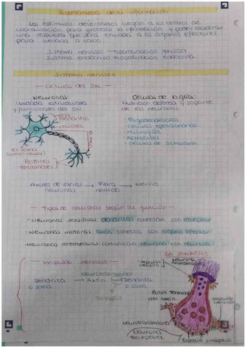 FUNCIÓN DE
biologia: RELACIÓN
Definición: La función de relación es aquella que permite
a los seres vivos detectar
cambios
tanto del medio i