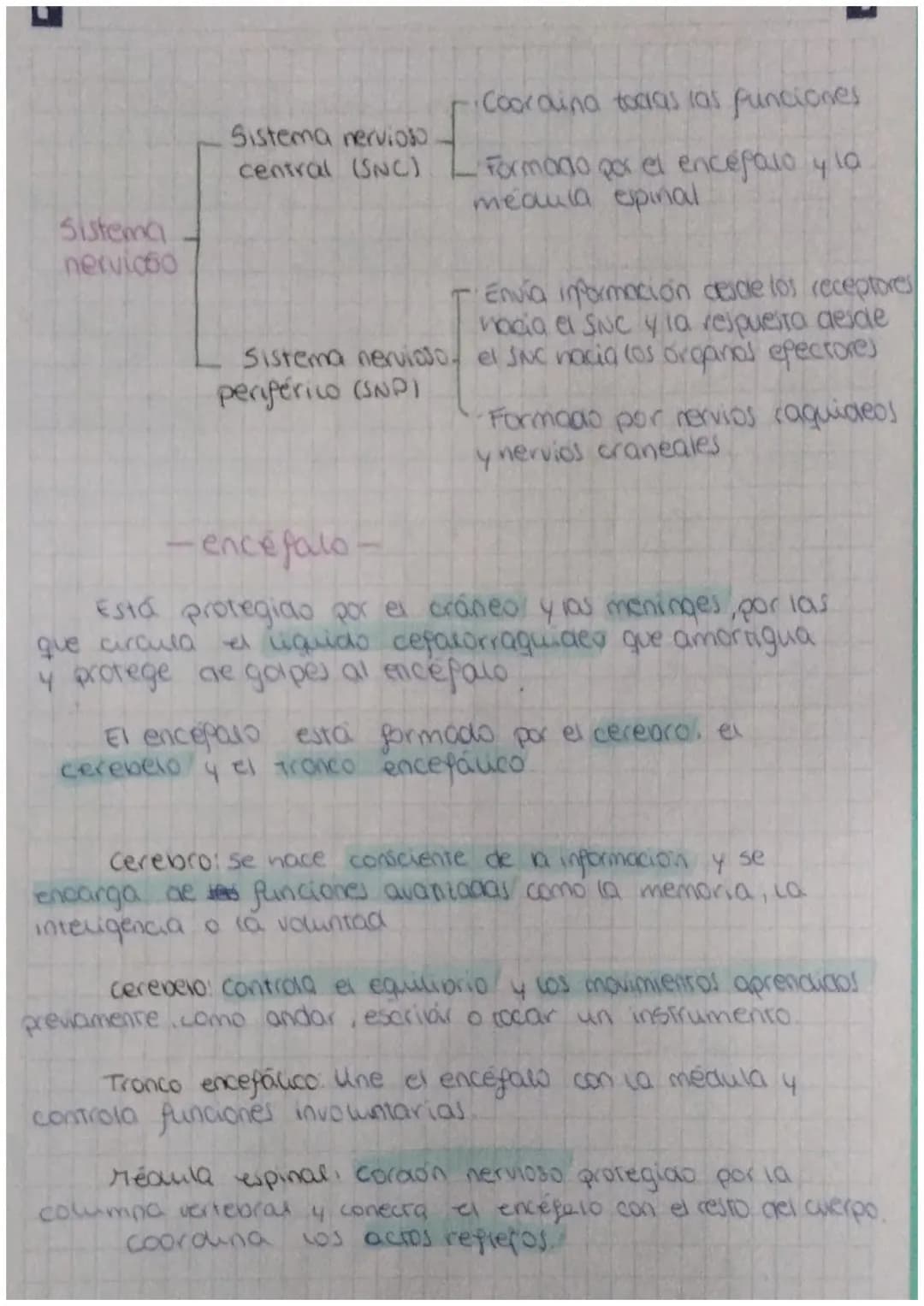 FUNCIÓN DE
biologia: RELACIÓN
Definición: La función de relación es aquella que permite
a los seres vivos detectar
cambios
tanto del medio i