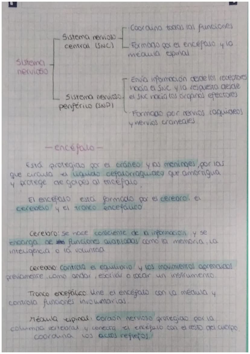 FUNCIÓN DE
biologia: RELACIÓN
Definición: La función de relación es aquella que permite
a los seres vivos detectar
cambios
tanto del medio i