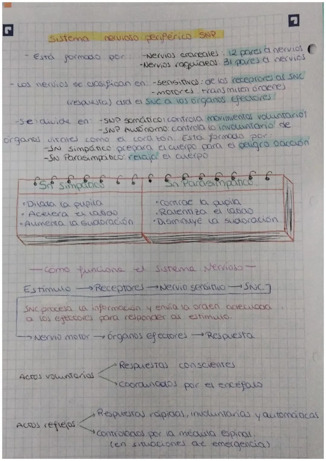 FUNCIÓN DE
biologia: RELACIÓN
Definición: La función de relación es aquella que permite
a los seres vivos detectar
cambios
tanto del medio i
