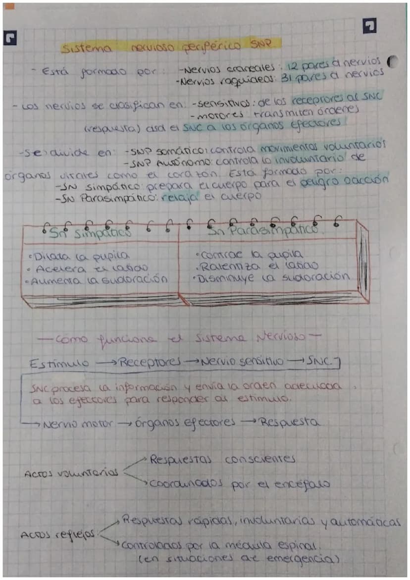 FUNCIÓN DE
biologia: RELACIÓN
Definición: La función de relación es aquella que permite
a los seres vivos detectar
cambios
tanto del medio i