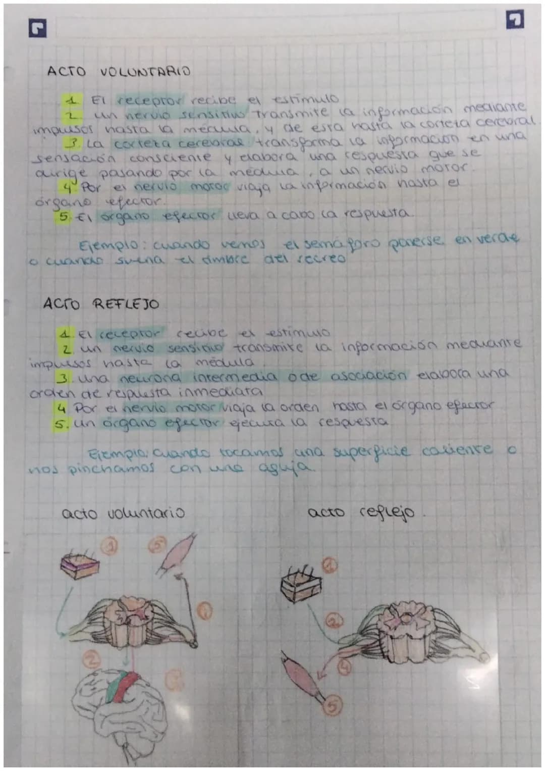 FUNCIÓN DE
biologia: RELACIÓN
Definición: La función de relación es aquella que permite
a los seres vivos detectar
cambios
tanto del medio i