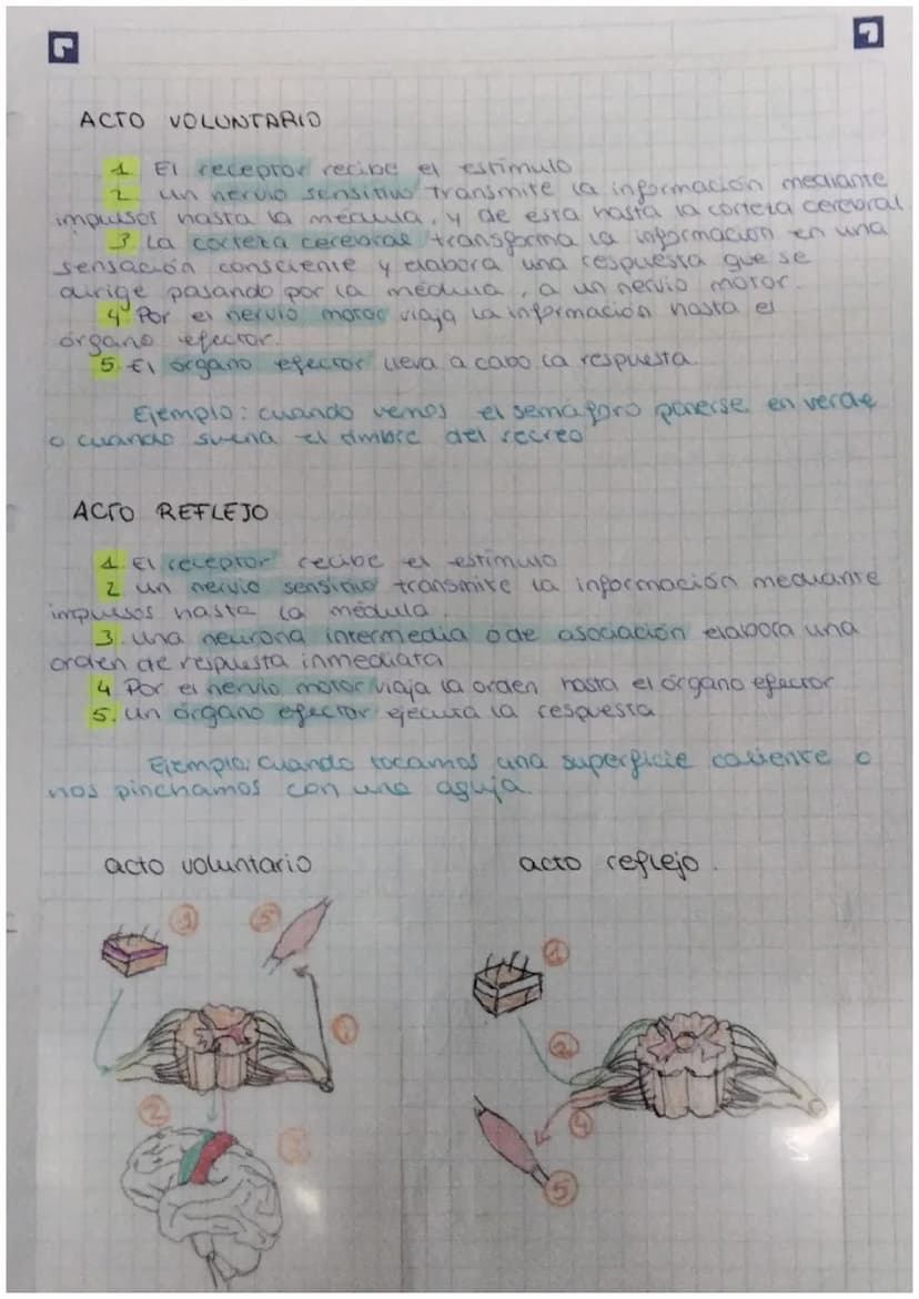 FUNCIÓN DE
biologia: RELACIÓN
Definición: La función de relación es aquella que permite
a los seres vivos detectar
cambios
tanto del medio i