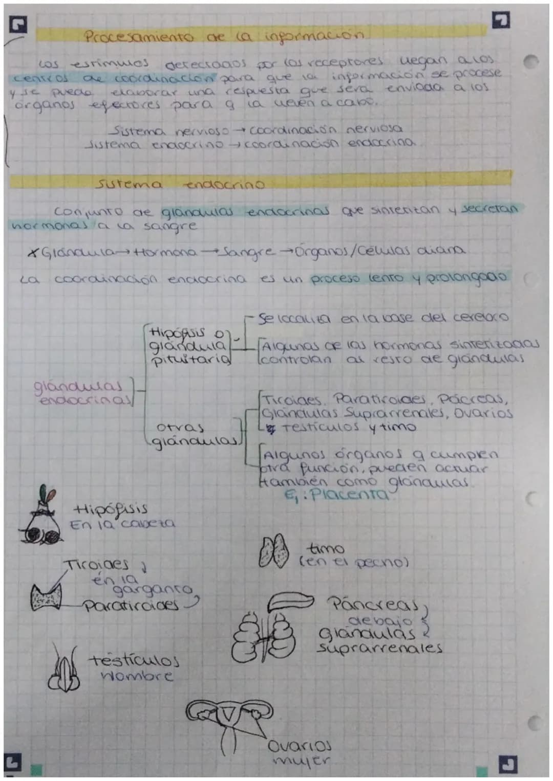 FUNCIÓN DE
biologia: RELACIÓN
Definición: La función de relación es aquella que permite
a los seres vivos detectar
cambios
tanto del medio i