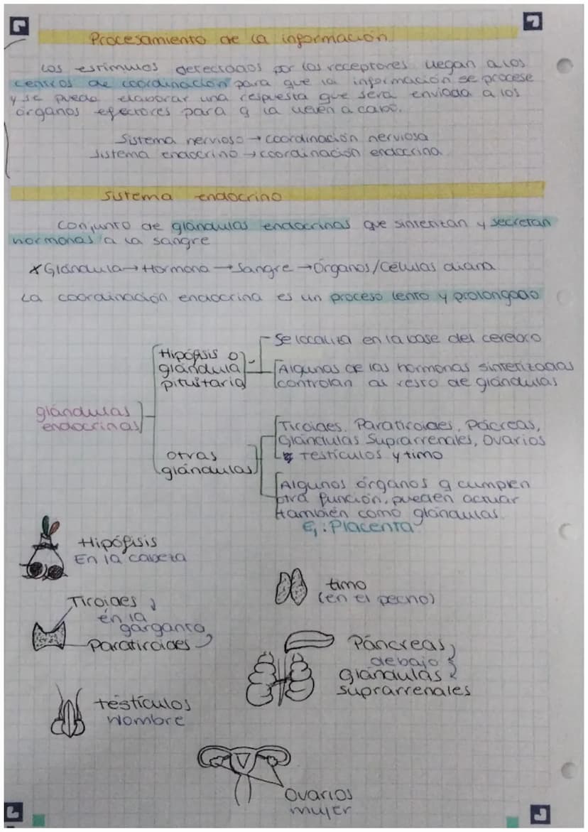 FUNCIÓN DE
biologia: RELACIÓN
Definición: La función de relación es aquella que permite
a los seres vivos detectar
cambios
tanto del medio i