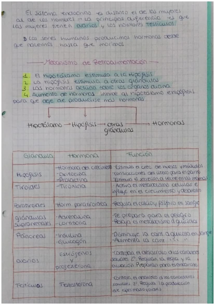 FUNCIÓN DE
biologia: RELACIÓN
Definición: La función de relación es aquella que permite
a los seres vivos detectar
cambios
tanto del medio i
