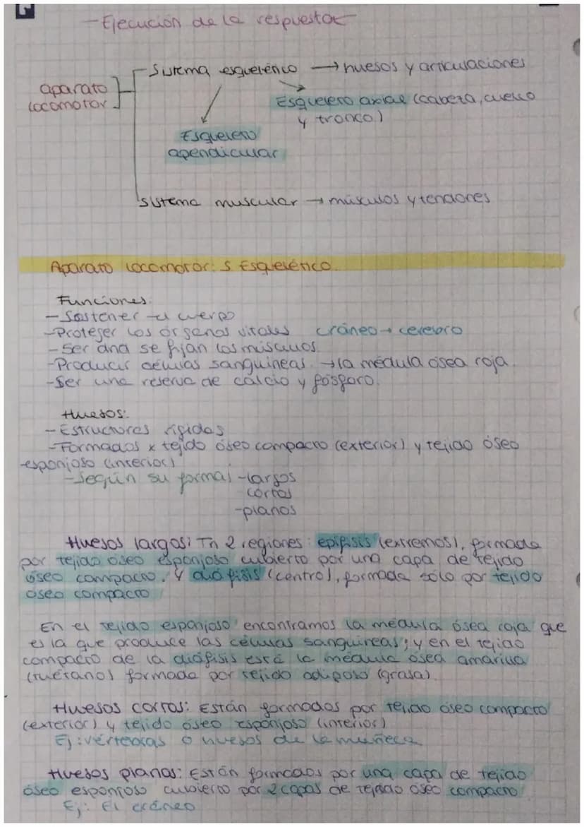 FUNCIÓN DE
biologia: RELACIÓN
Definición: La función de relación es aquella que permite
a los seres vivos detectar
cambios
tanto del medio i