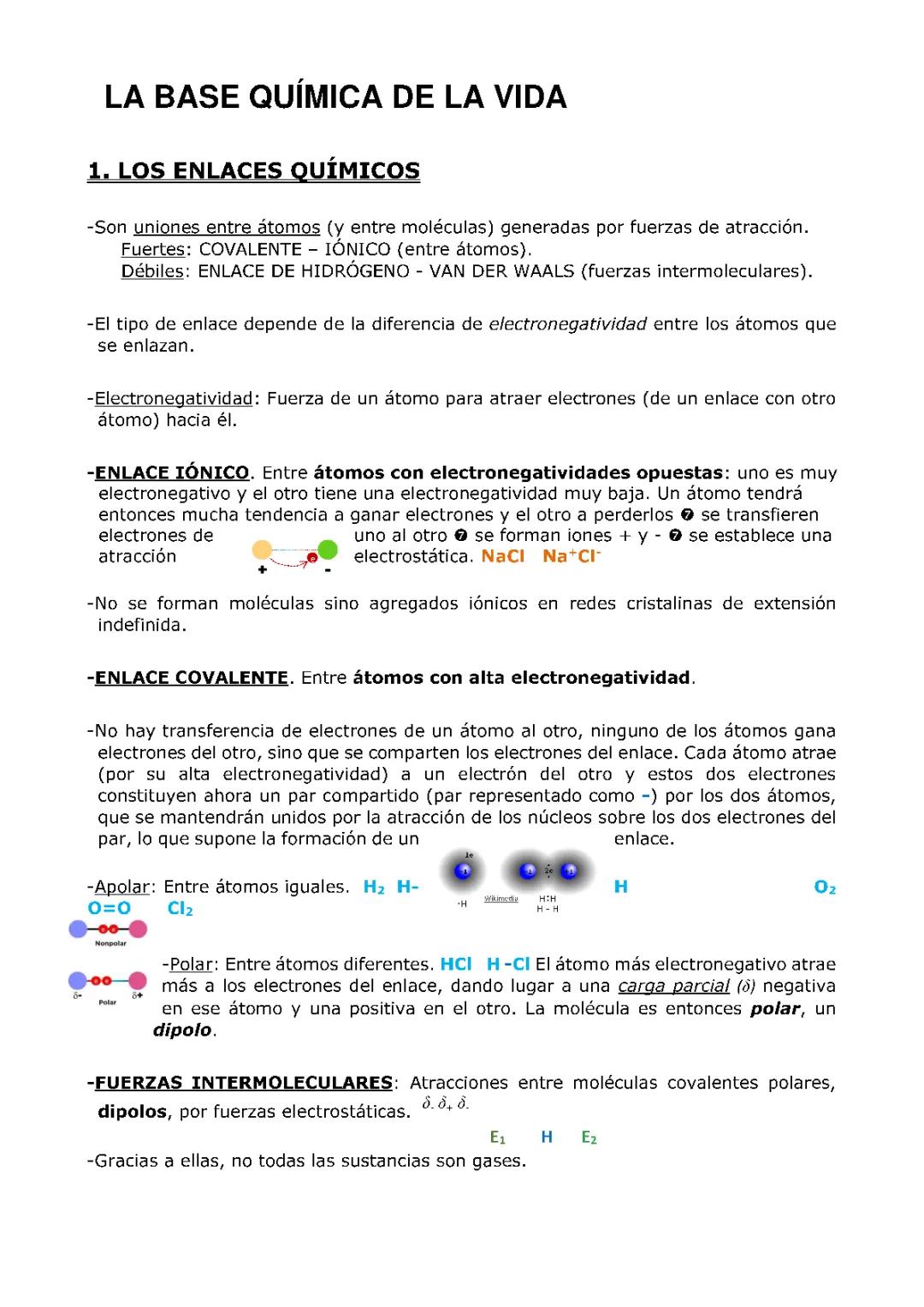 LA BASE QUÍMICA DE LA VIDA