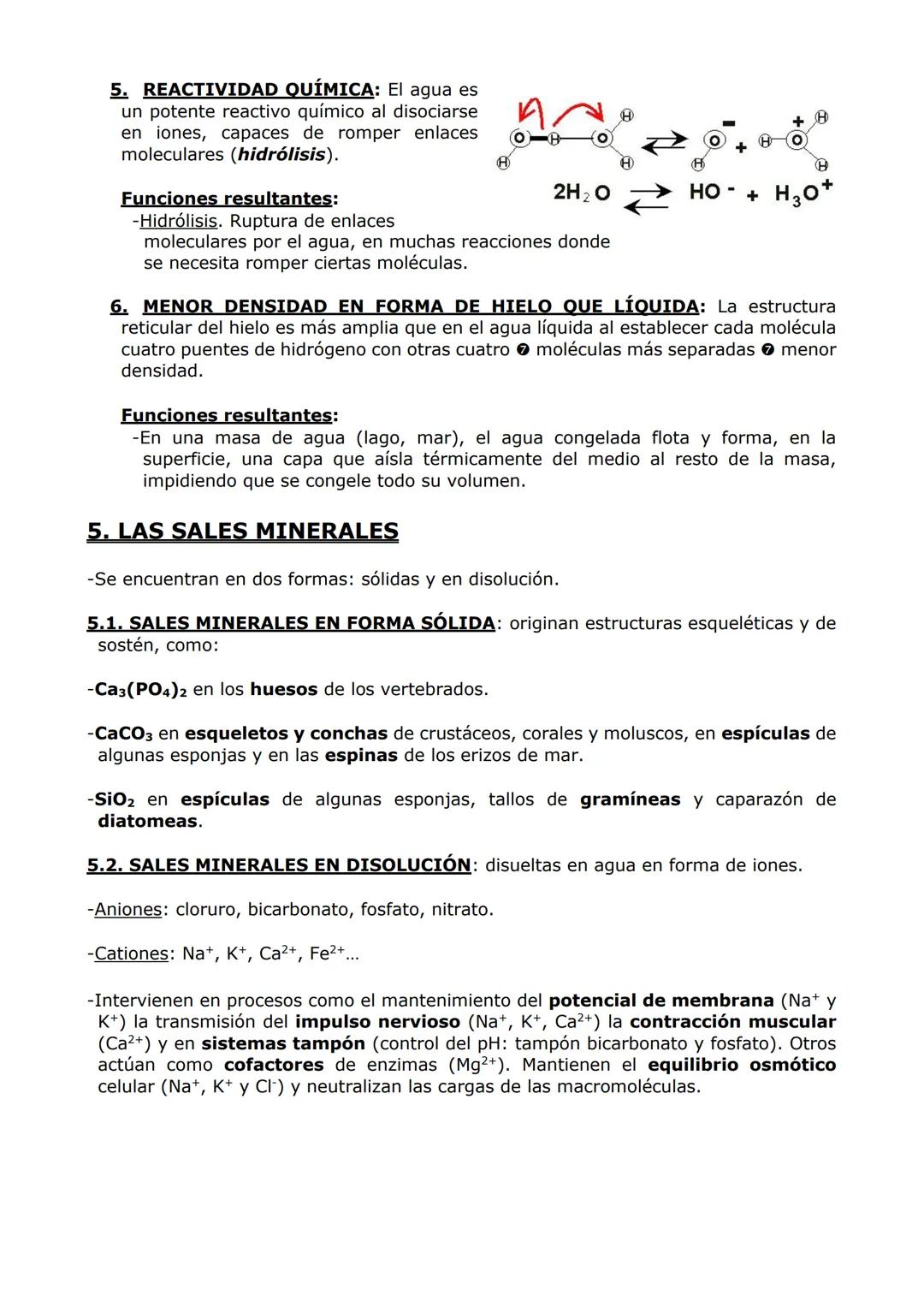 LA BASE QUÍMICA DE LA VIDA
1. LOS ENLACES QUÍMICOS
-Son uniones entre átomos (y entre moléculas) generadas por fuerzas de atracción.
Fuertes