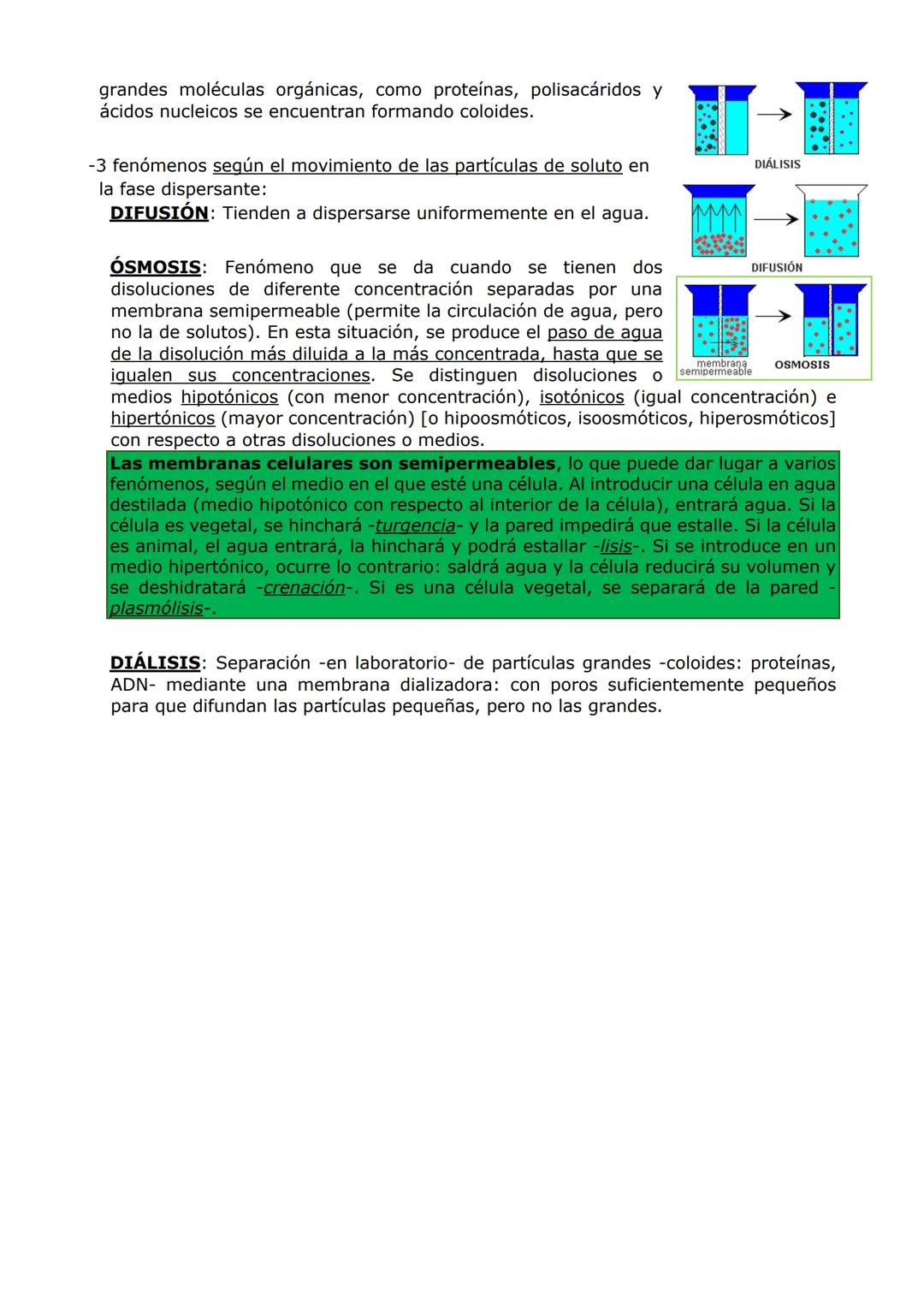 LA BASE QUÍMICA DE LA VIDA
1. LOS ENLACES QUÍMICOS
-Son uniones entre átomos (y entre moléculas) generadas por fuerzas de atracción.
Fuertes