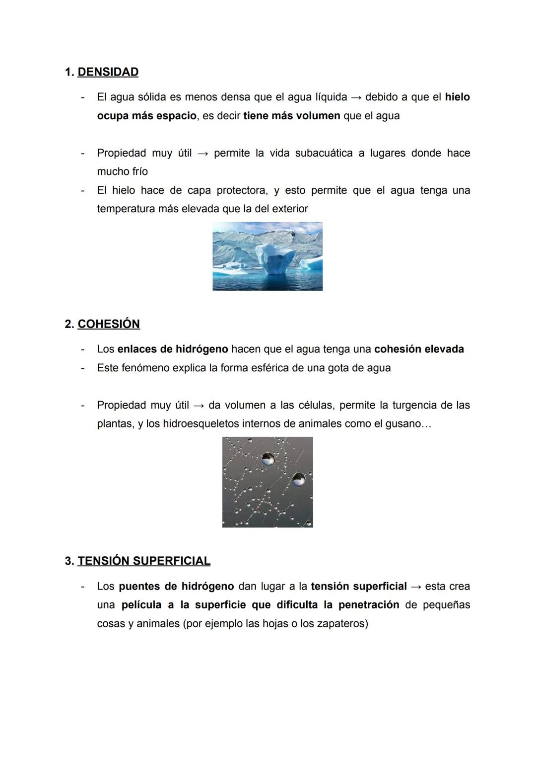 PROPIEDADES DEL AGUA
Apuntes de: 1r de Bachillerato científico
Asignatura: Biología
Curso: 2022/2023 ÍNDICE
1. DENSIDAD....
2. COHESIÓN.
3. 