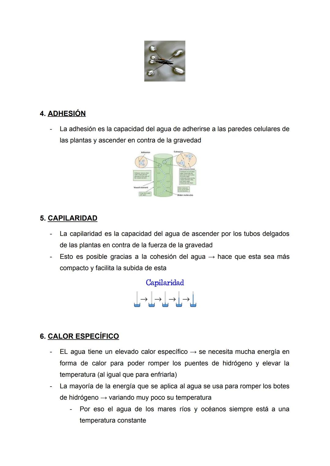 PROPIEDADES DEL AGUA
Apuntes de: 1r de Bachillerato científico
Asignatura: Biología
Curso: 2022/2023 ÍNDICE
1. DENSIDAD....
2. COHESIÓN.
3. 