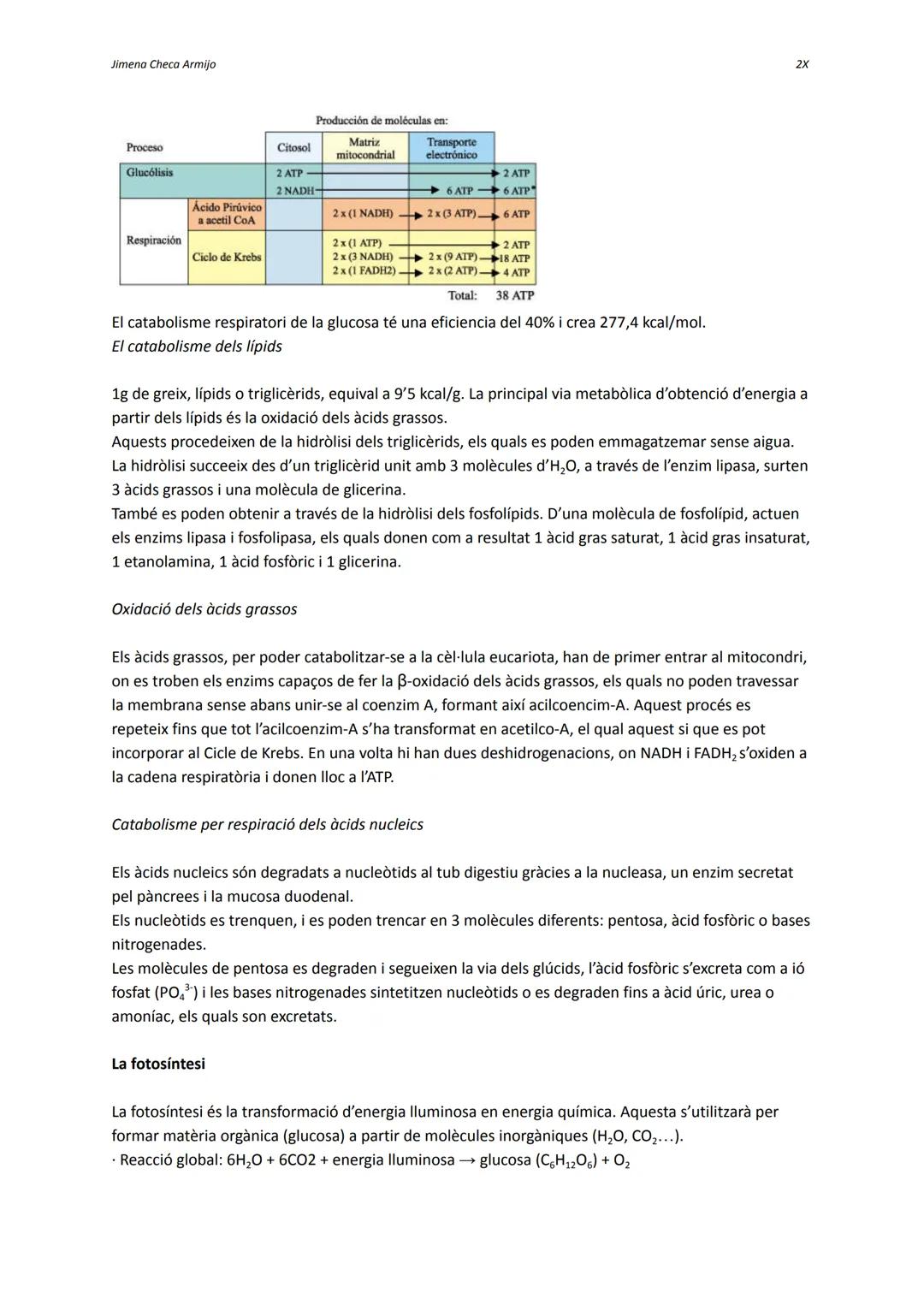 Jimena Checa Armijo

Dictat trimestral biologia

El metabolisme

És un conjunt de reaccions químiques que tenen lloc a l'interior de la cèl·