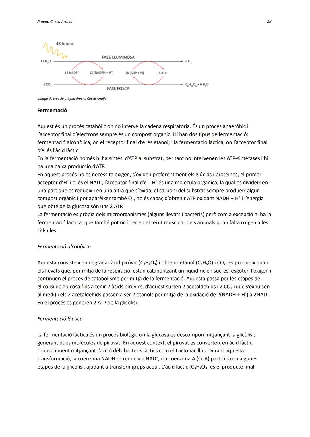 Jimena Checa Armijo

Dictat trimestral biologia

El metabolisme

És un conjunt de reaccions químiques que tenen lloc a l'interior de la cèl·
