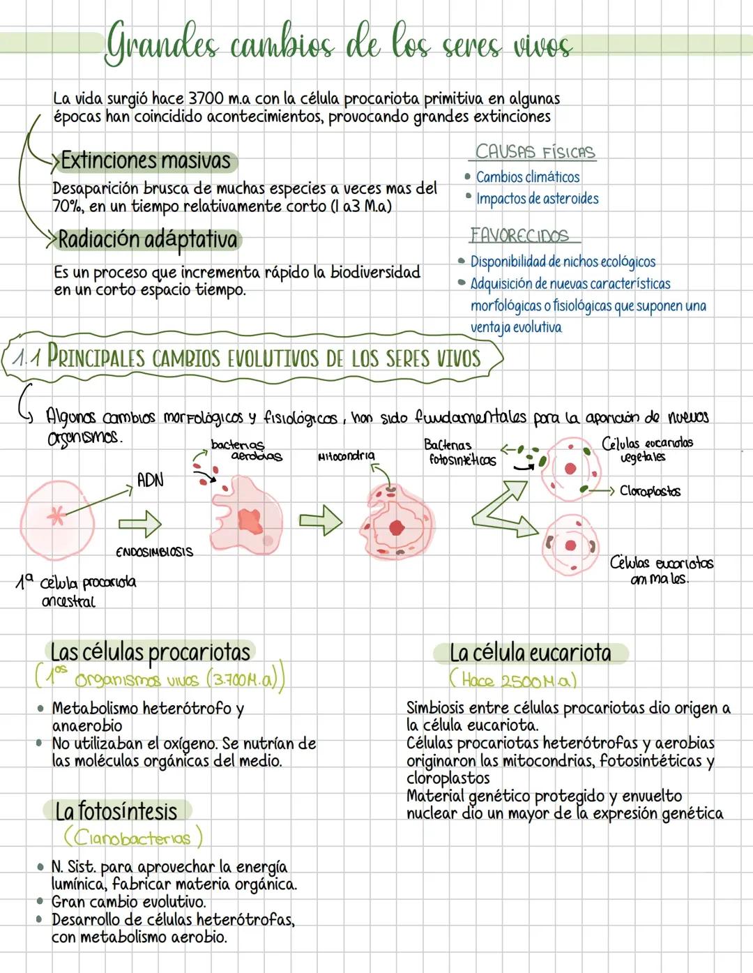 Cambios de los seres vivos