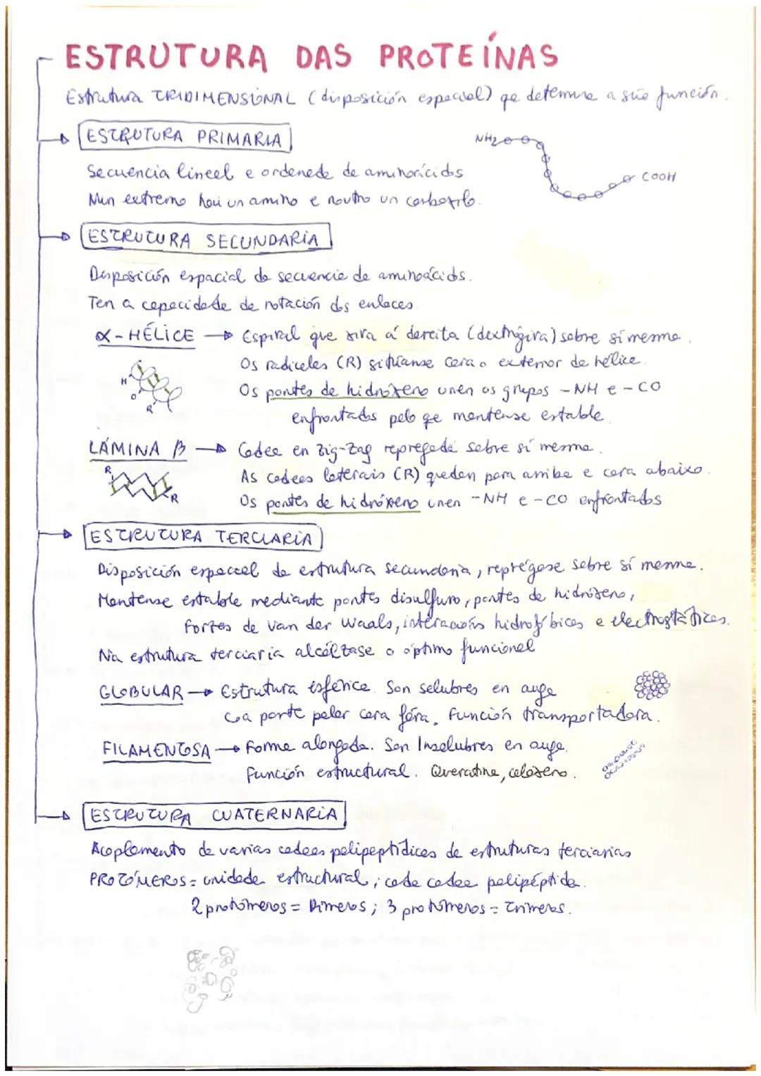 Proteínas
[PROTEÍNA) Biomelécule orgénice fermedes per C, H, 0 e(N)
Son macro nelécules formedes pele union & ENLACE PEPEDICO de
aminoacids 