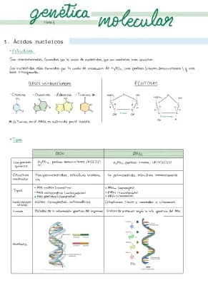 Know Genética Molecular thumbnail