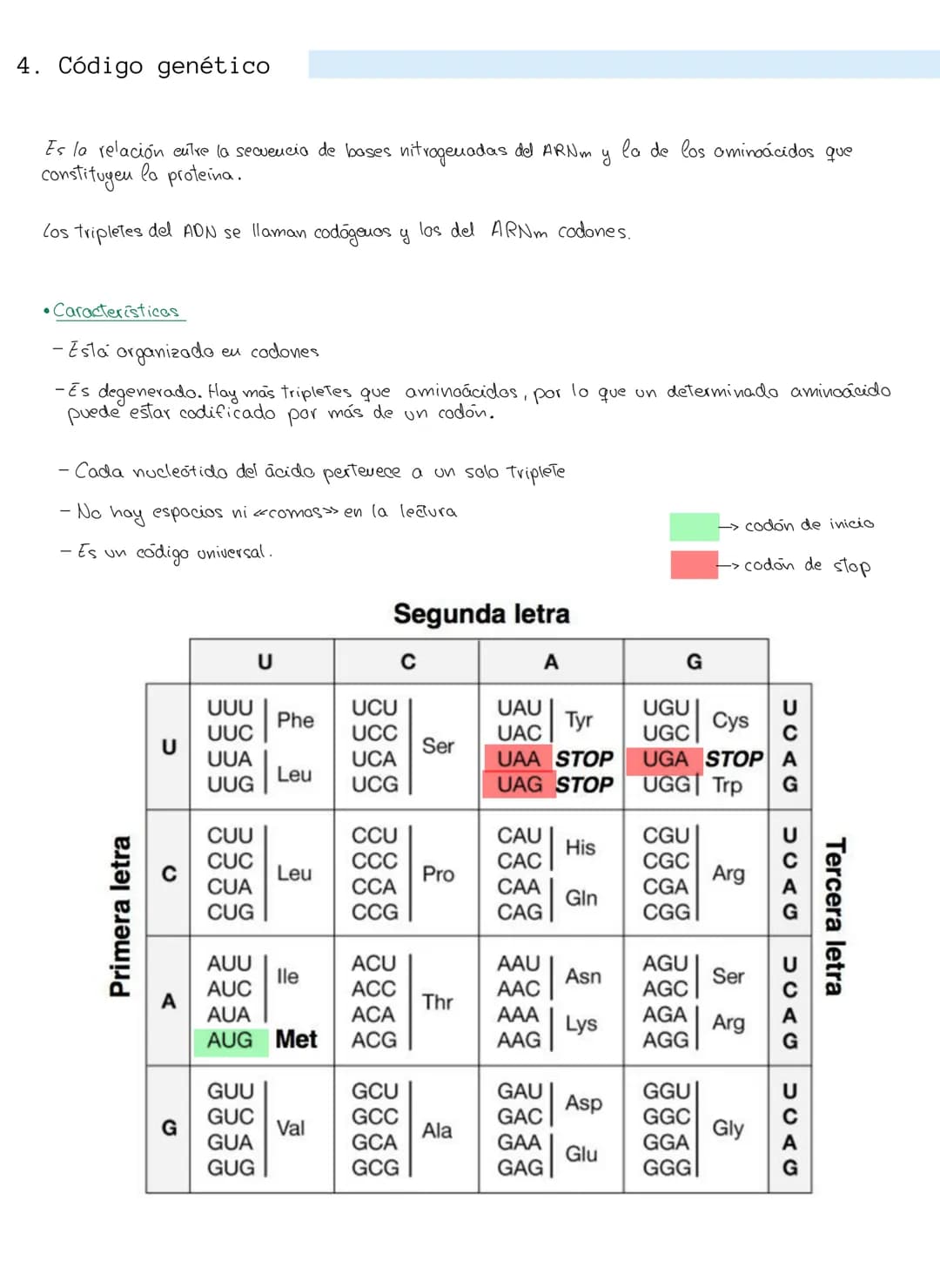 
<p>Los ácidos nucleicos son macromoléculas formadas por la unión de nucleótidos, que son moléculas más sencillas. Los nucleótidos están com