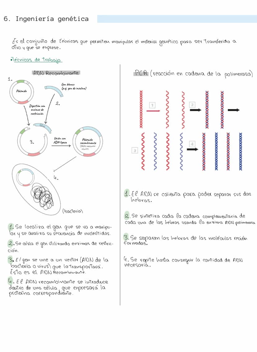 
<p>Los ácidos nucleicos son macromoléculas formadas por la unión de nucleótidos, que son moléculas más sencillas. Los nucleótidos están com