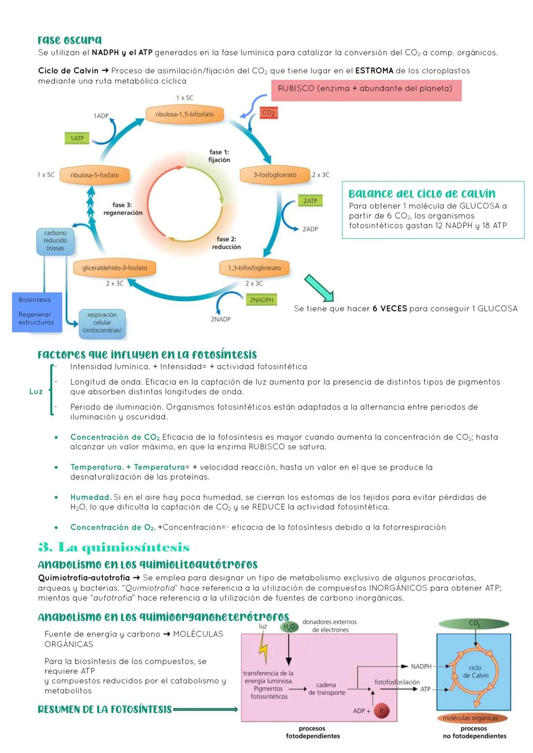 # BIOLOGÍA 2º EXAMEN 2ª EVALUACIÓN

ΤΕΜΑ 11. ENZIMAS Y CATABOLISMO

## 1. El metabolismo

Metabolismo Conjunto de reacciones químicas que pe