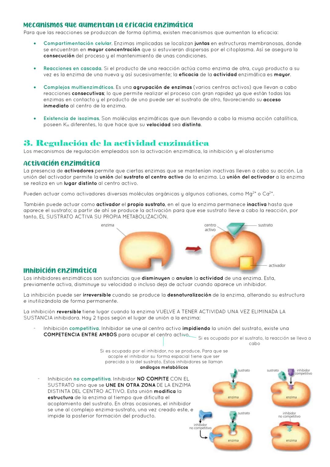 # BIOLOGÍA 2º EXAMEN 2ª EVALUACIÓN

ΤΕΜΑ 11. ENZIMAS Y CATABOLISMO

## 1. El metabolismo

Metabolismo Conjunto de reacciones químicas que pe