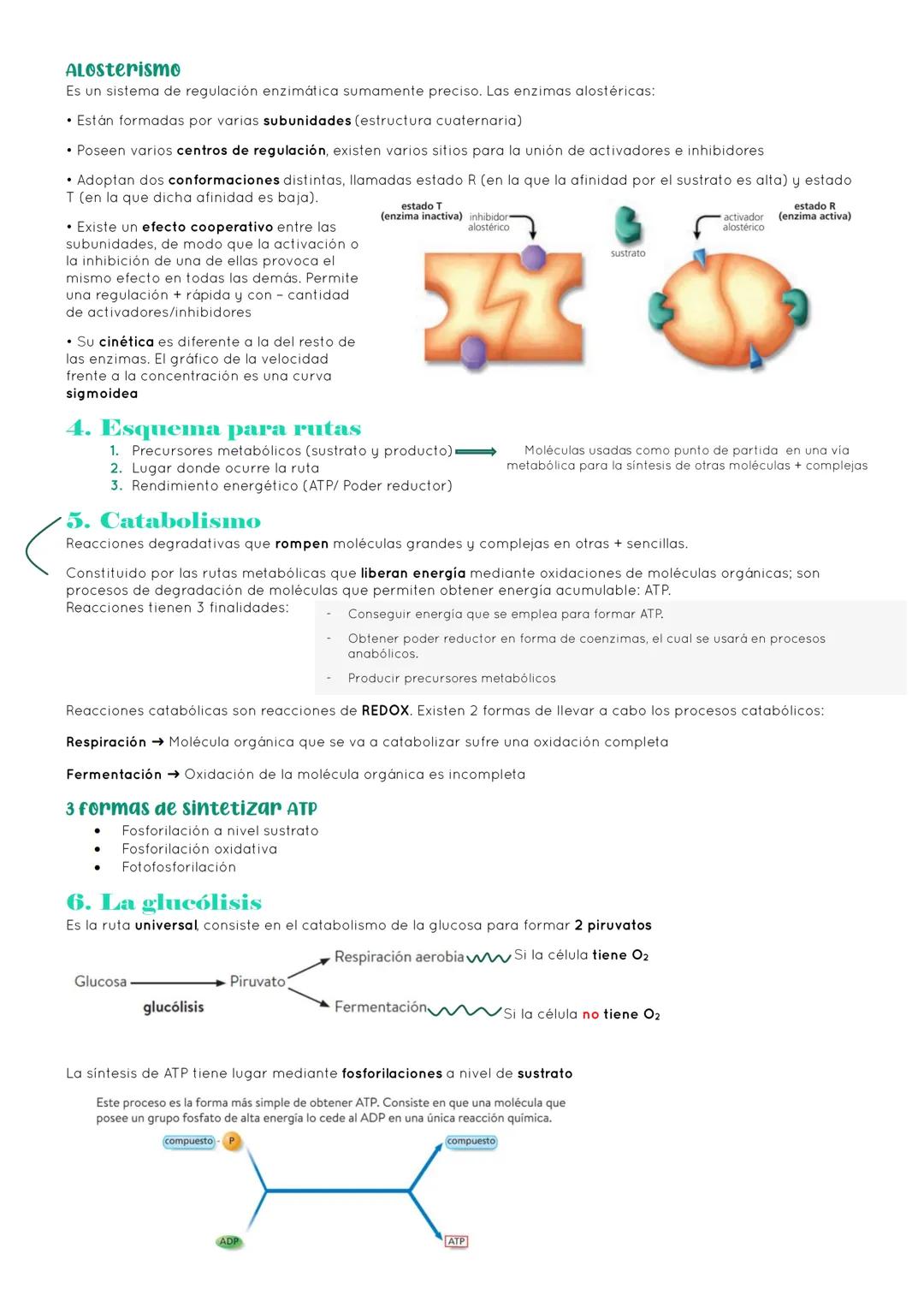 # BIOLOGÍA 2º EXAMEN 2ª EVALUACIÓN

ΤΕΜΑ 11. ENZIMAS Y CATABOLISMO

## 1. El metabolismo

Metabolismo Conjunto de reacciones químicas que pe