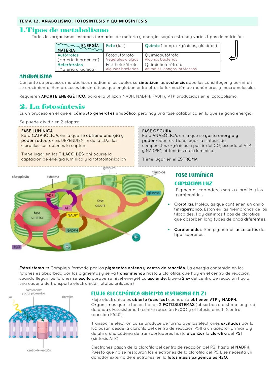 # BIOLOGÍA 2º EXAMEN 2ª EVALUACIÓN

ΤΕΜΑ 11. ENZIMAS Y CATABOLISMO

## 1. El metabolismo

Metabolismo Conjunto de reacciones químicas que pe