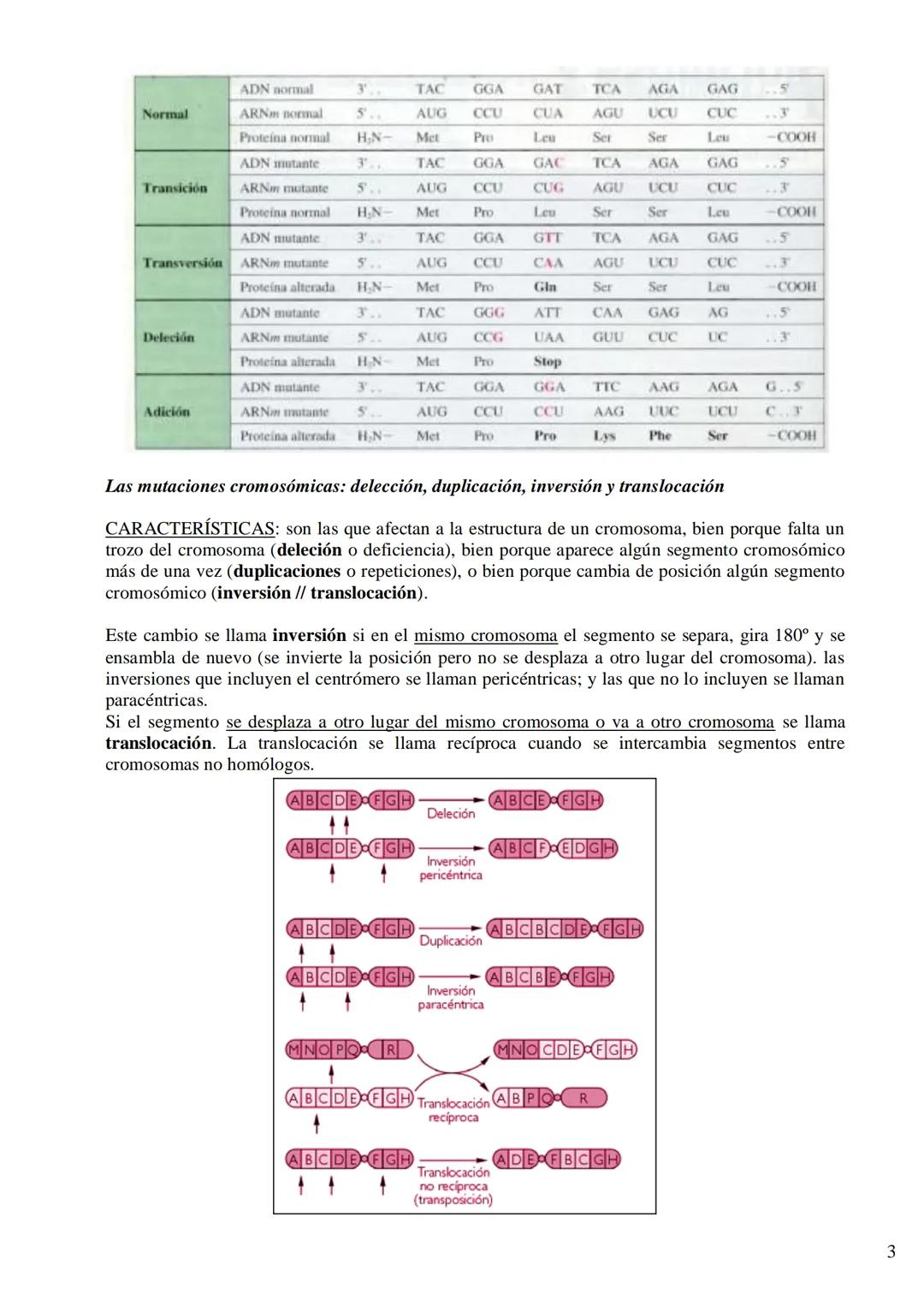 TEMA 8: LAS MUTACIONES Y EL CÁNCER
La mutación como fuente de variabilidad genética. Implicaciones de las mutaciones en la
evolución y apari