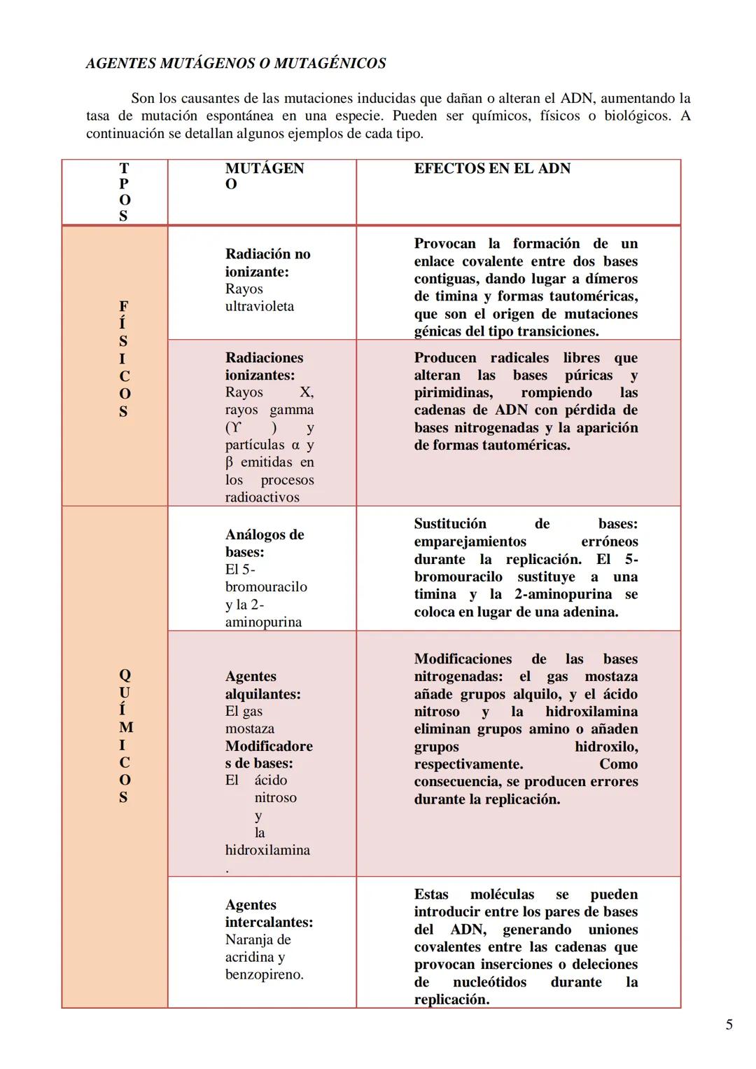 TEMA 8: LAS MUTACIONES Y EL CÁNCER
La mutación como fuente de variabilidad genética. Implicaciones de las mutaciones en la
evolución y apari