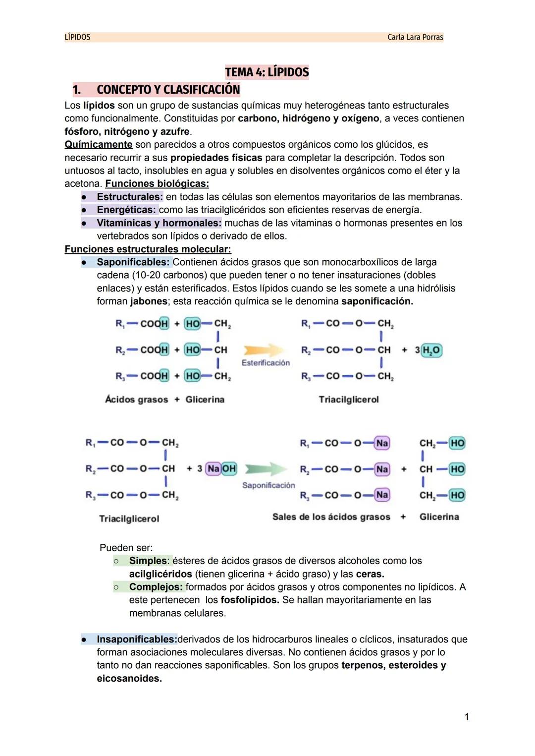 LÍPIDOS
TEMA 4: LÍPIDOS
1. CONCEPTO Y CLASIFICACIÓN
Los lípidos son un grupo de sustancias químicas muy heterogéneas tanto estructurales
com
