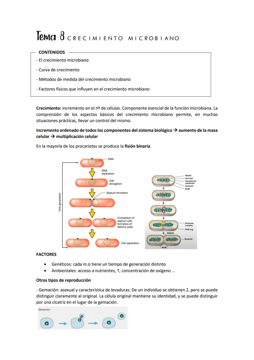 Tema 8 CRECIMIE
CONTENIDOS
- El crecimiento microbiano
Curva de crecimiento
- Métodos de medida del crecimiento microbiano
- Factores físico