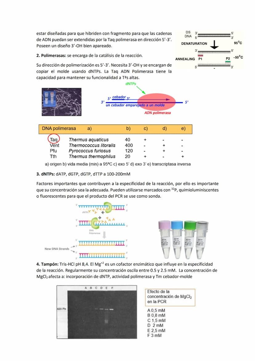 Tema 8 CRECIMIE
CONTENIDOS
- El crecimiento microbiano
Curva de crecimiento
- Métodos de medida del crecimiento microbiano
- Factores físico