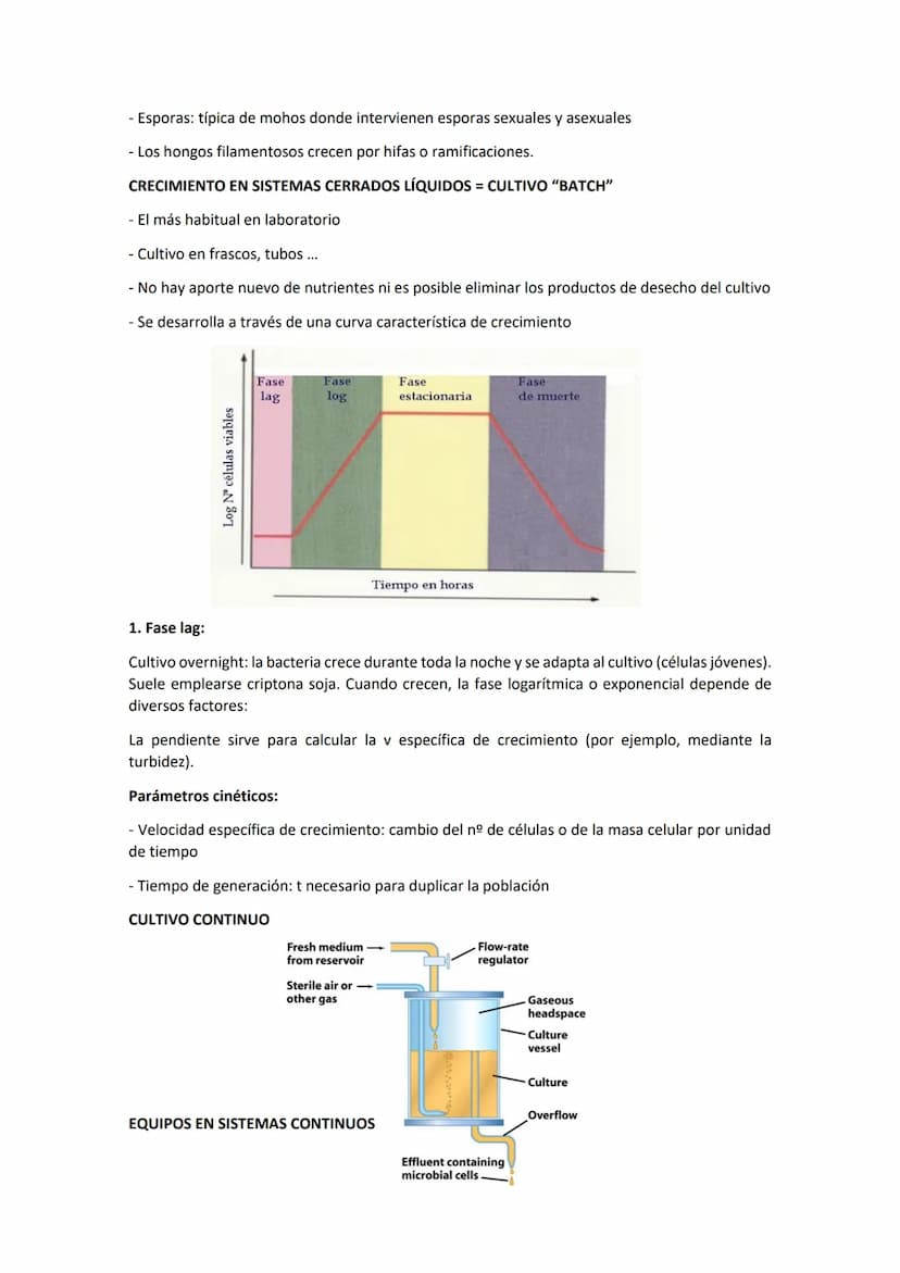 Tema 8 CRECIMIE
CONTENIDOS
- El crecimiento microbiano
Curva de crecimiento
- Métodos de medida del crecimiento microbiano
- Factores físico