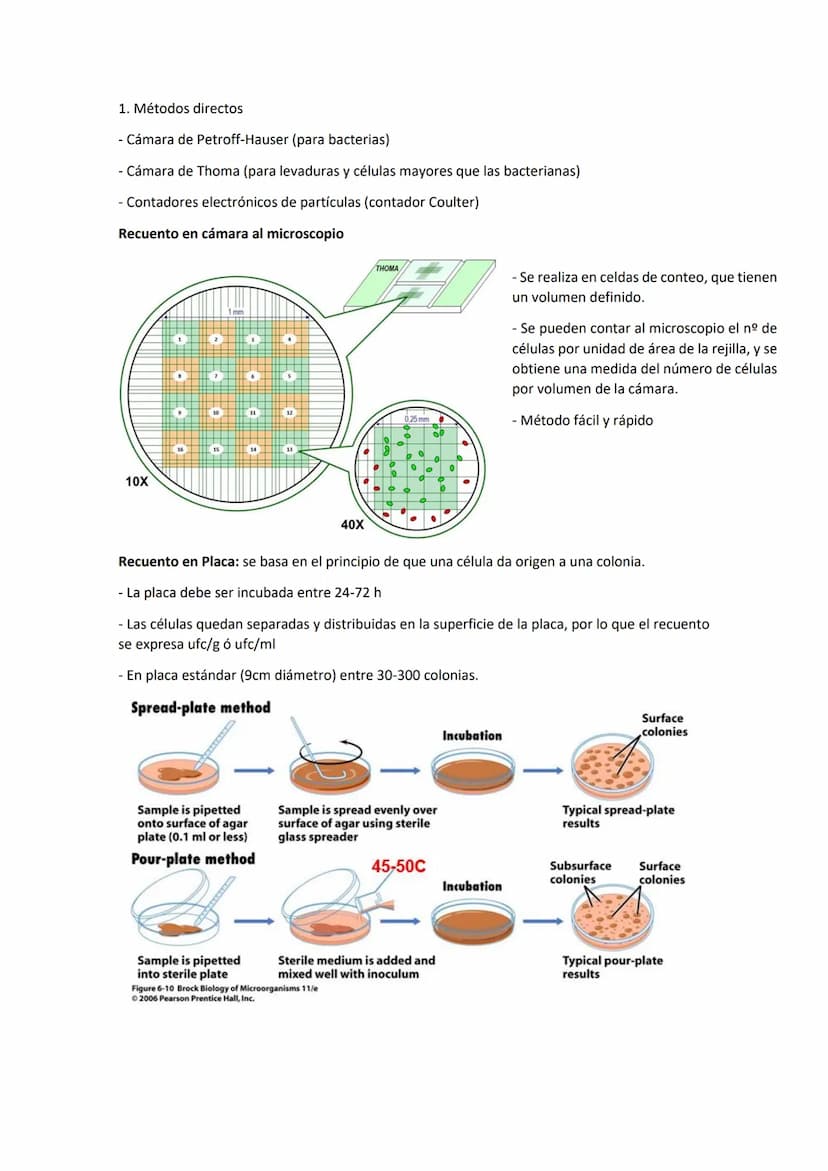 Tema 8 CRECIMIE
CONTENIDOS
- El crecimiento microbiano
Curva de crecimiento
- Métodos de medida del crecimiento microbiano
- Factores físico