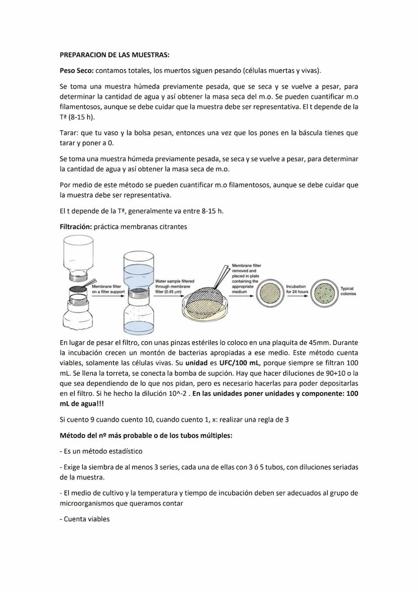 Tema 8 CRECIMIE
CONTENIDOS
- El crecimiento microbiano
Curva de crecimiento
- Métodos de medida del crecimiento microbiano
- Factores físico