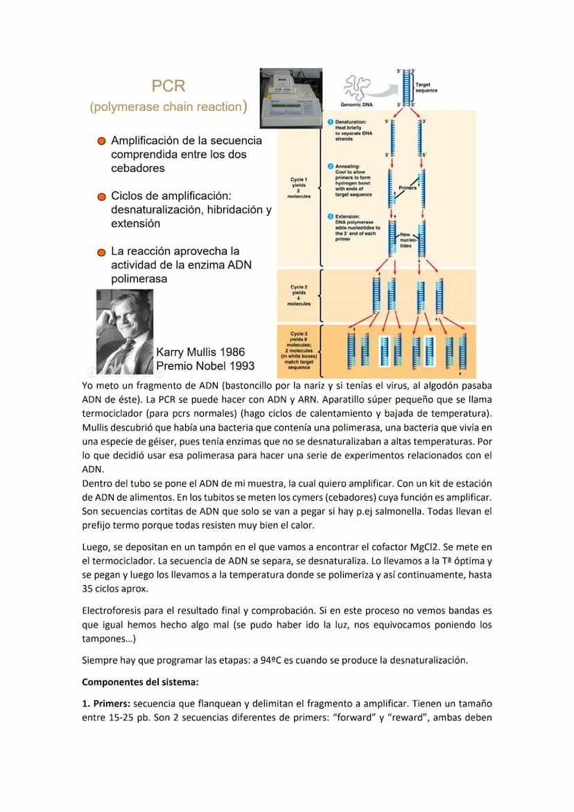 Tema 8 CRECIMIE
CONTENIDOS
- El crecimiento microbiano
Curva de crecimiento
- Métodos de medida del crecimiento microbiano
- Factores físico