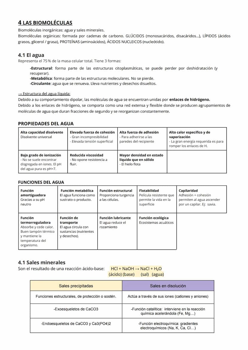 
<h2 id="losenlacesqumicosenbiologa">Los Enlaces Químicos en Biología</h2>
<h3 id="enlacesintramoleculares">Enlaces Intramoleculares</h3>
<p