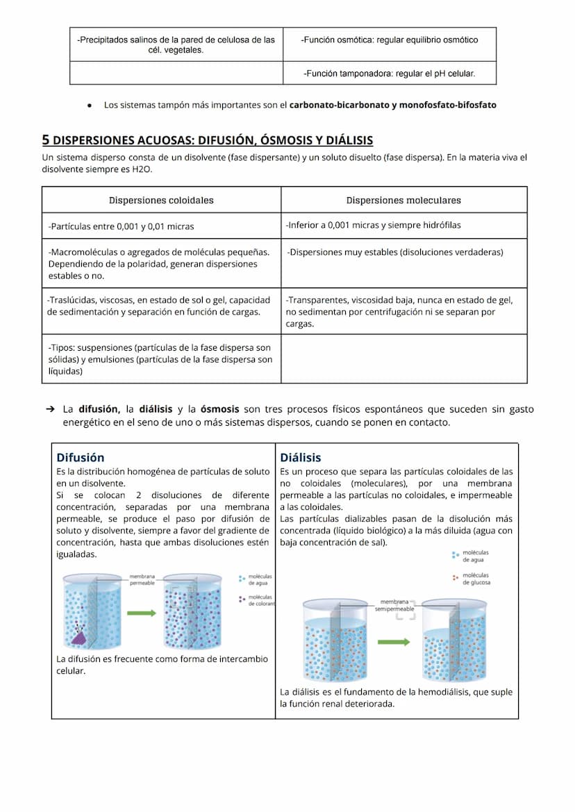 
<h2 id="losenlacesqumicosenbiologa">Los Enlaces Químicos en Biología</h2>
<h3 id="enlacesintramoleculares">Enlaces Intramoleculares</h3>
<p