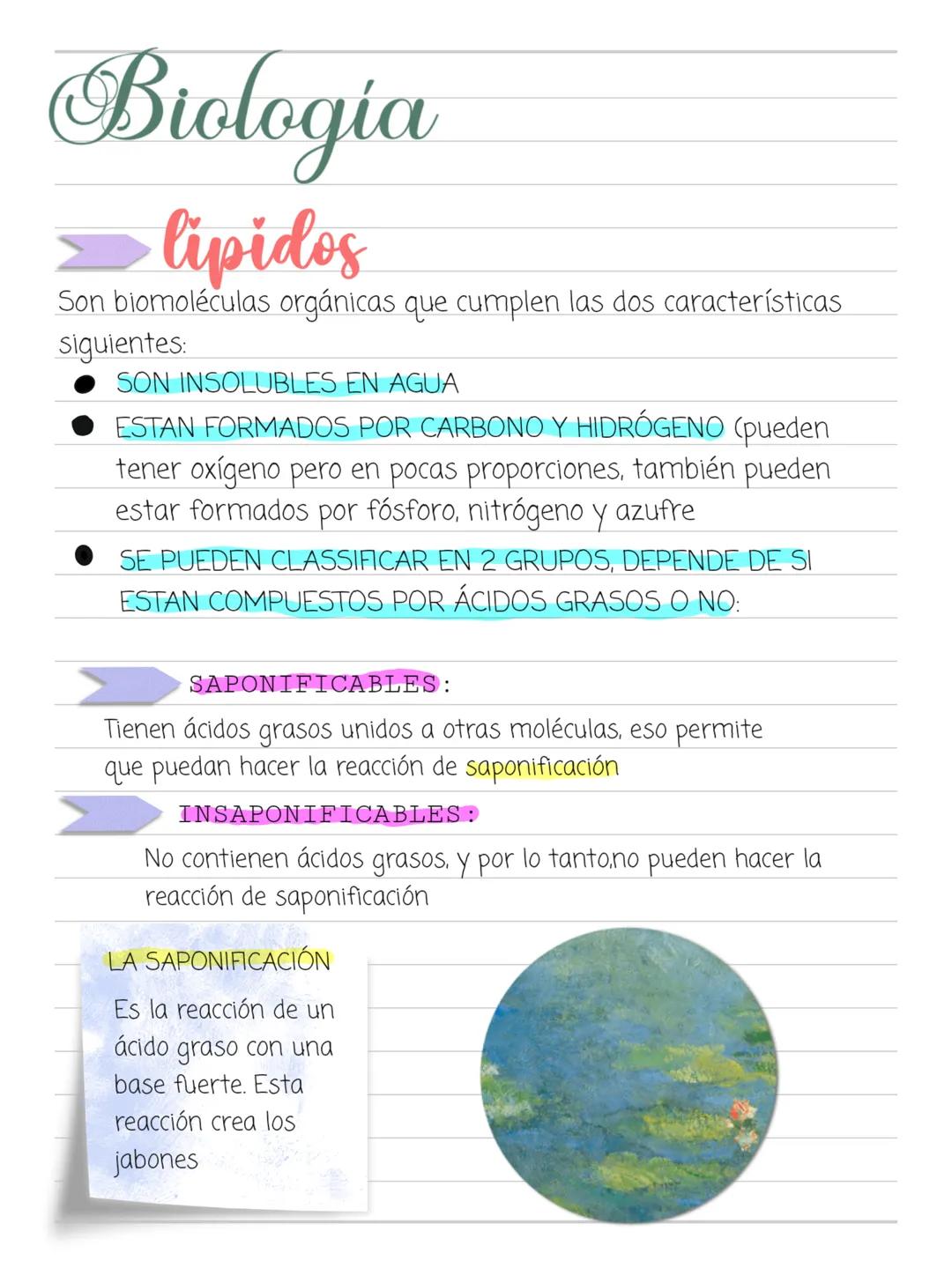 In a world you know
nothing, there will be surprises if
you go on Biologia
>Glúcidos
Son biomoléculas formadas básicamente por CARBONO, HIDR
