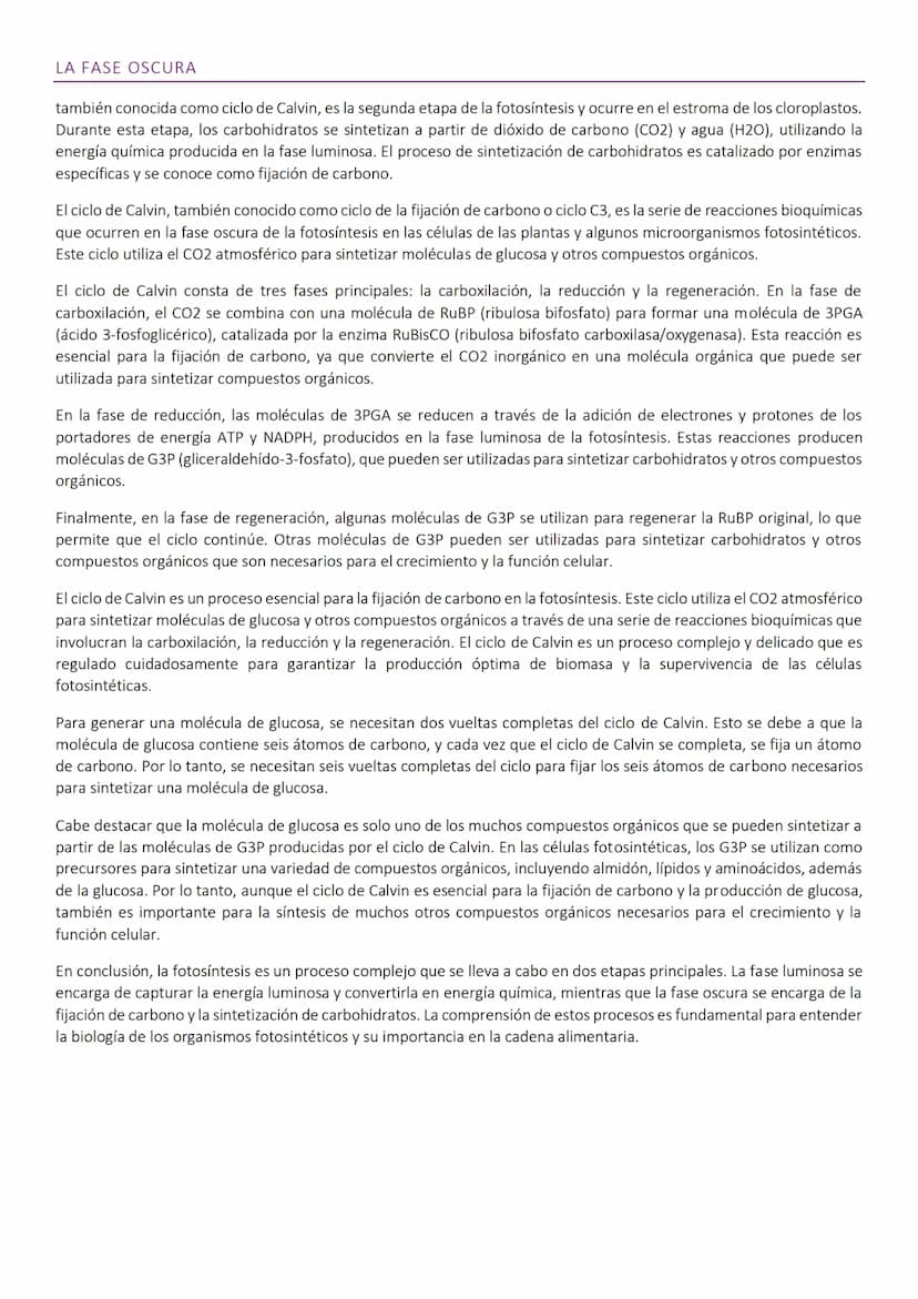 FOTOSÍNTESIS
La fotosíntesis es un proceso bioquímico crucial para la supervivencia de los seres vivos en la Tierra, ya que convierte la
ene