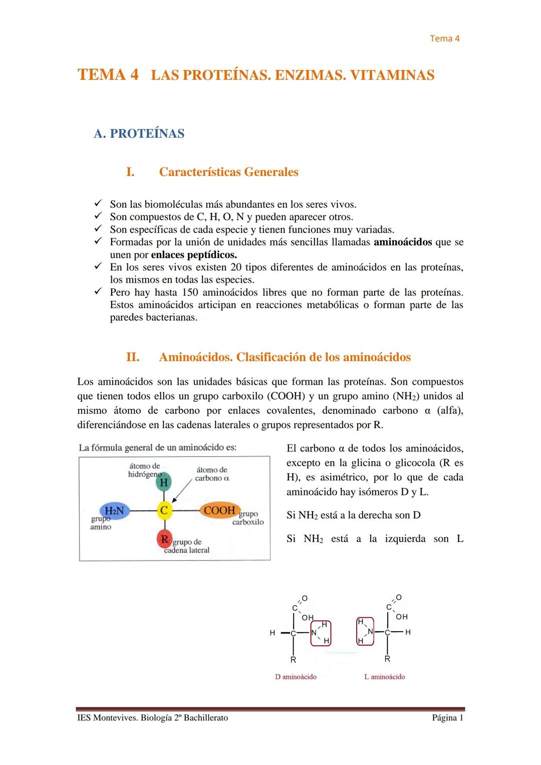 Tema 4

# TEMA 4 LAS PROTEÍNAS. ENZIMAS. VITAMINAS

## A. PROTEÍNAS

### I. Características Generales

✔ Son las biomoléculas más abundantes