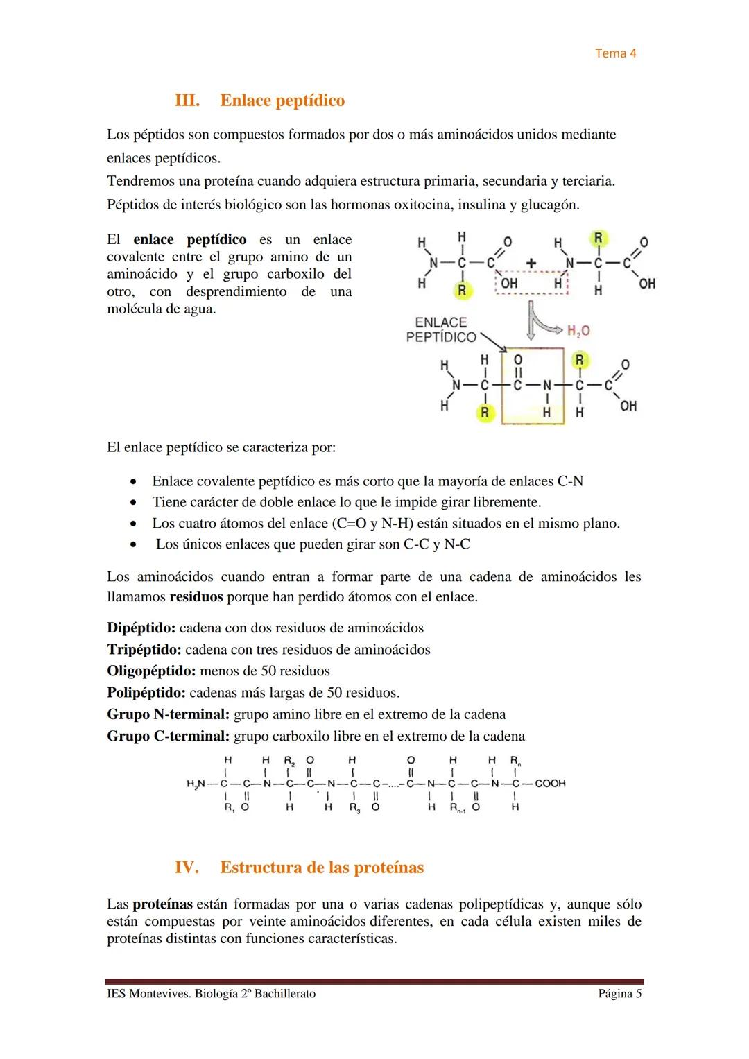 Tema 4

# TEMA 4 LAS PROTEÍNAS. ENZIMAS. VITAMINAS

## A. PROTEÍNAS

### I. Características Generales

✔ Son las biomoléculas más abundantes