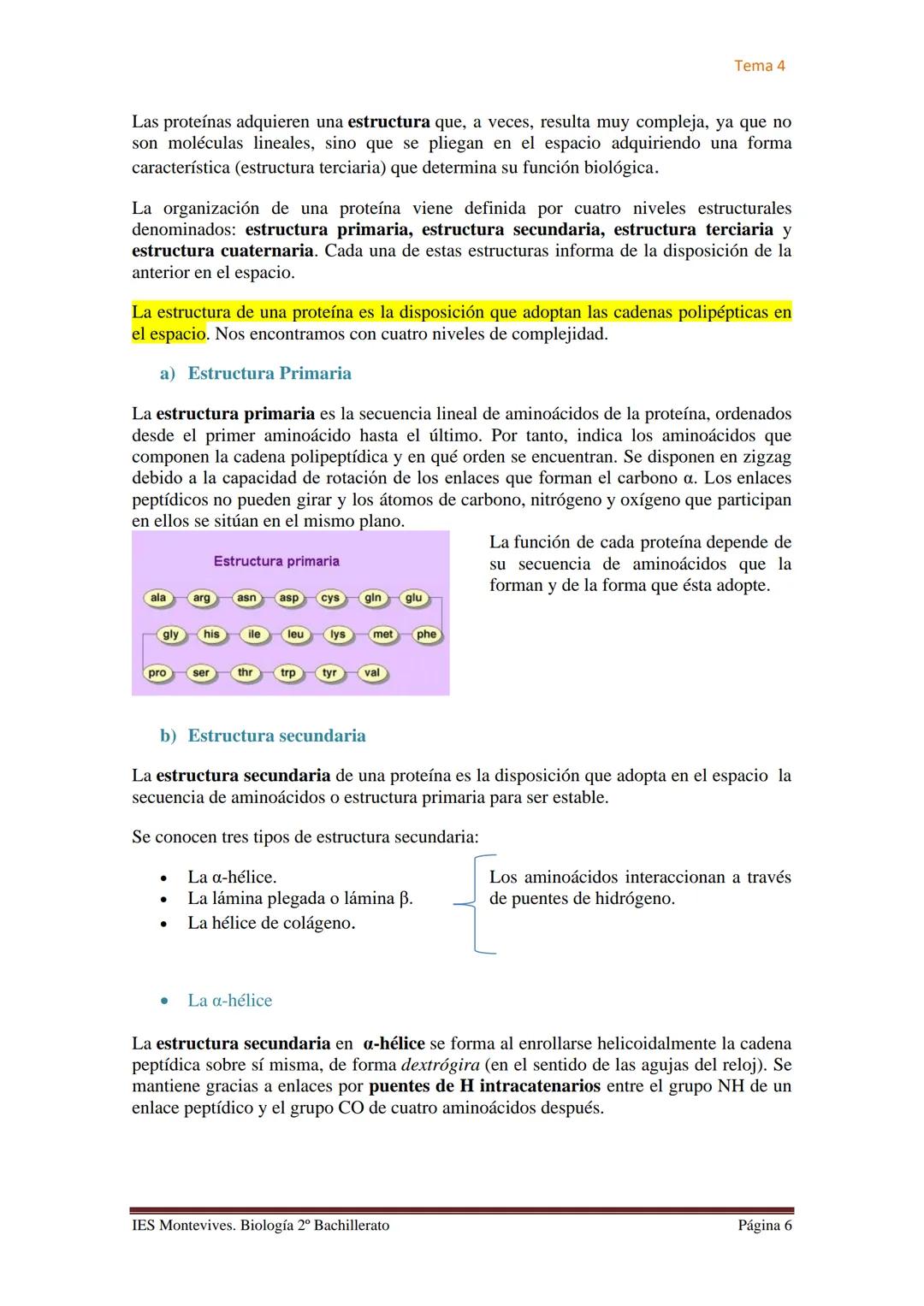 Tema 4

# TEMA 4 LAS PROTEÍNAS. ENZIMAS. VITAMINAS

## A. PROTEÍNAS

### I. Características Generales

✔ Son las biomoléculas más abundantes